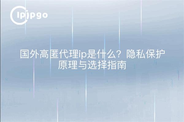 国外高匿代理ip是什么?隐私保护原理与选择指南