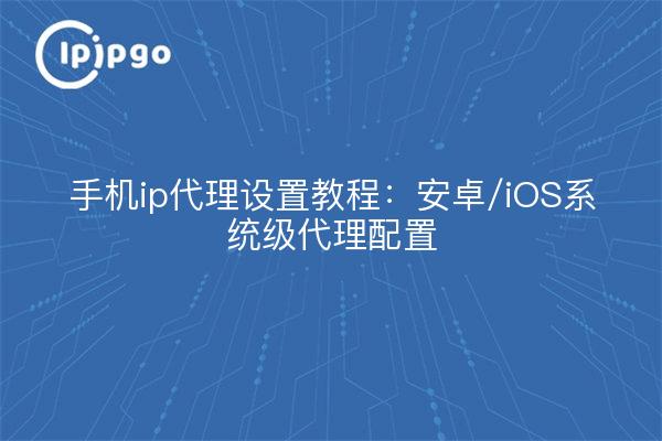 手机ip代理设置教程：安卓/iOS系统级代理配置