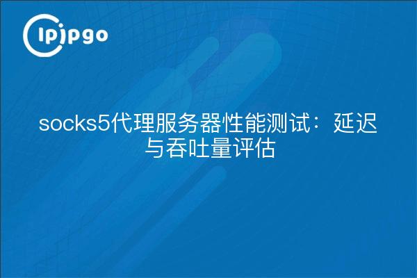 socks5代理服务器性能测试：延迟与吞吐量评估