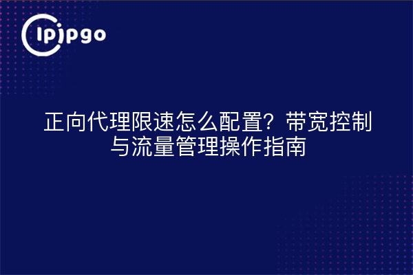 正向代理限速怎么配置？带宽控制与流量管理操作指南