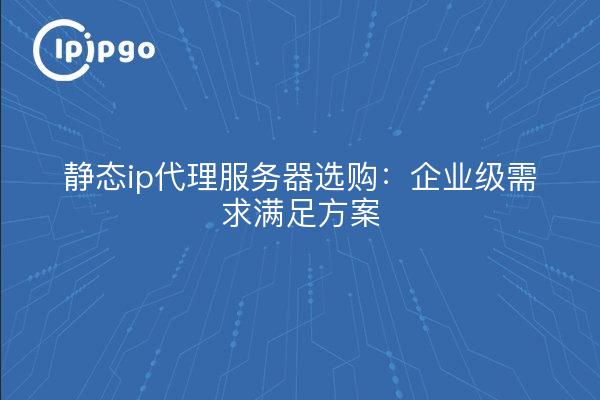 静态ip代理服务器选购：企业级需求满足方案