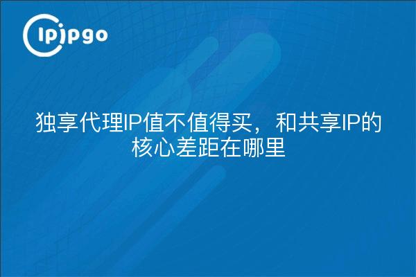 独享代理IP值不值得买，和共享IP的核心差距在哪里