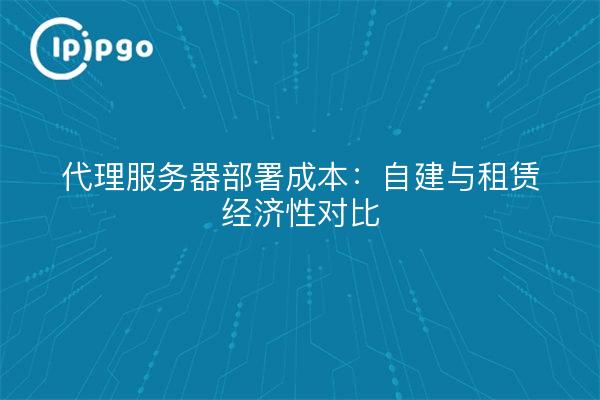 代理服务器部署成本：自建与租赁经济性对比