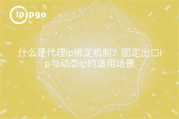 什么是代理ip绑定机制?固定出口ip与动态ip的适用场景