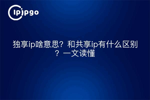 独享ip啥意思?和共享ip有什么区别?一文读懂