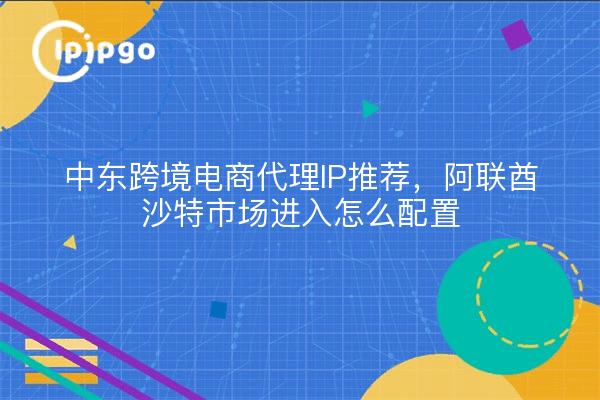 中东跨境电商代理IP推荐，阿联酋沙特市场进入怎么配置