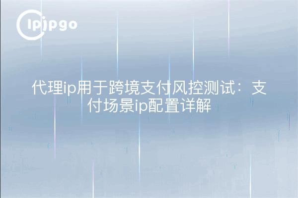 代理ip用于跨境支付风控测试：支付场景ip配置详解
