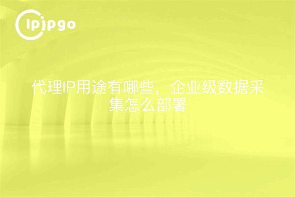 代理IP用途有哪些，企业级数据采集怎么部署