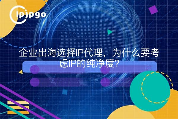 企业出海选择IP代理，为什么要考虑IP的纯净度？