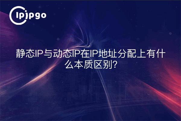 静态IP与动态IP在IP地址分配上有什么本质区别？