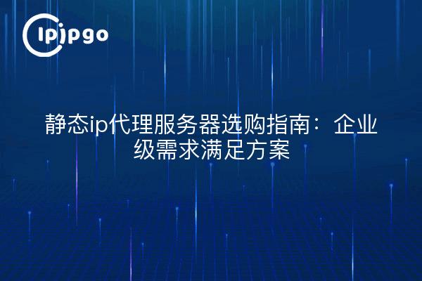 静态ip代理服务器选购指南：企业级需求满足方案