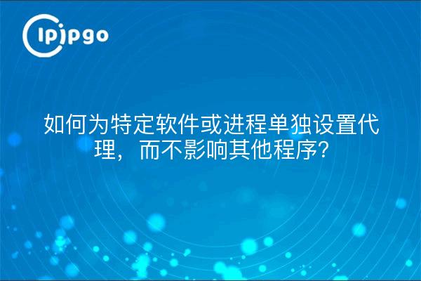 如何为特定软件或进程单独设置代理,而不影响其他程序?