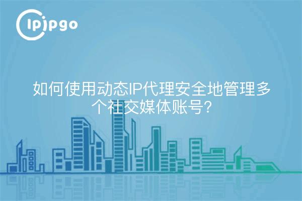 如何使用动态IP代理安全地管理多个社交媒体账号？
