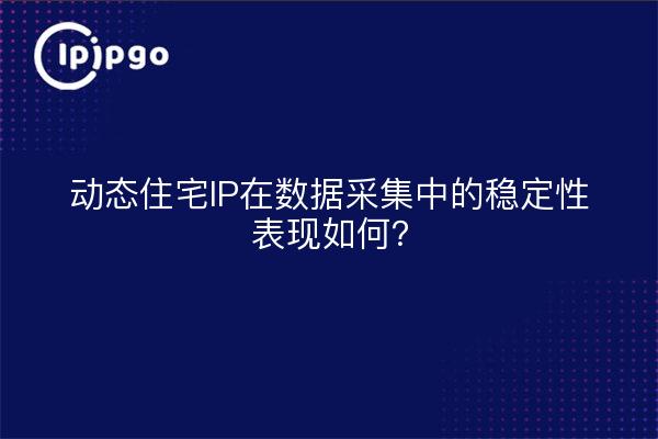 动态住宅IP在数据采集中的稳定性表现如何？