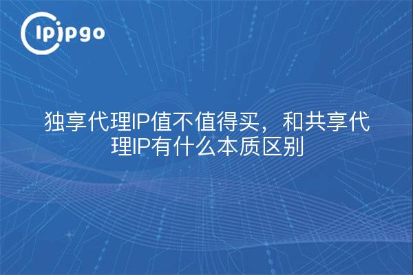 独享代理IP值不值得买，和共享代理IP有什么本质区别