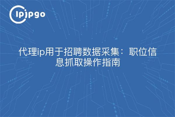 代理ip用于招聘数据采集：职位信息抓取操作指南