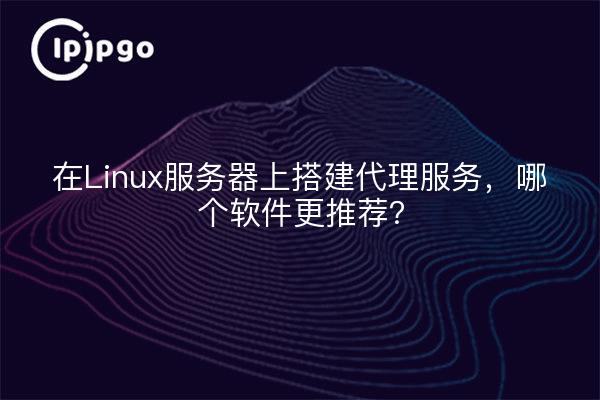 在Linux服务器上搭建代理服务，哪个软件更推荐？