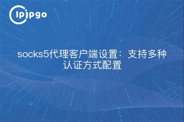 socks5代理客户端设置：支持多种认证方式配置
