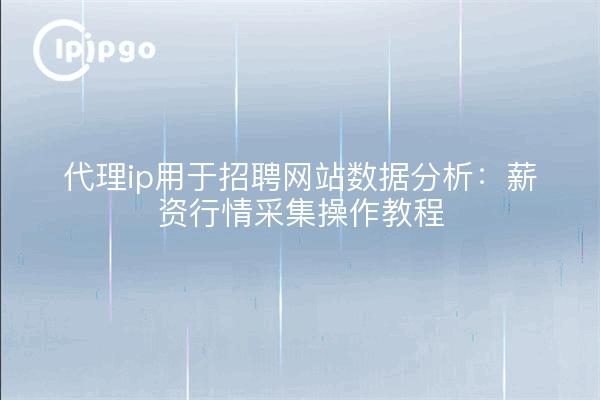 代理ip用于招聘网站数据分析：薪资行情采集操作教程