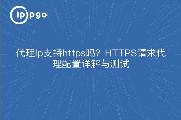 代理ip支持https吗？HTTPS请求代理配置详解与测试