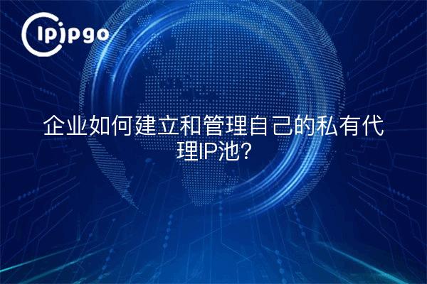 企业如何建立和管理自己的私有代理IP池?