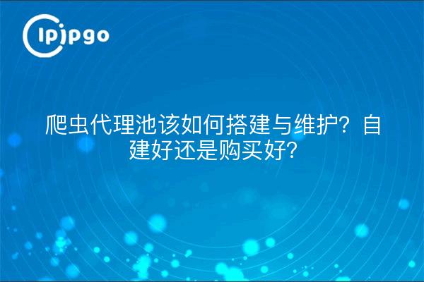 爬虫代理池该如何搭建与维护？自建好还是购买好？