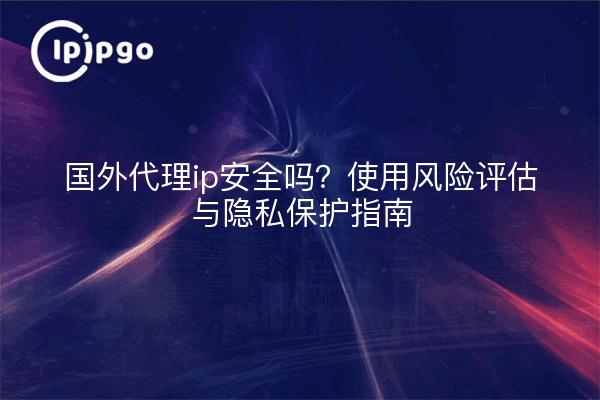 国外代理ip安全吗？使用风险评估与隐私保护指南