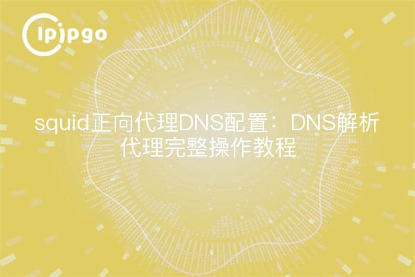 squid正向代理DNS配置:DNS解析代理完整操作教程
