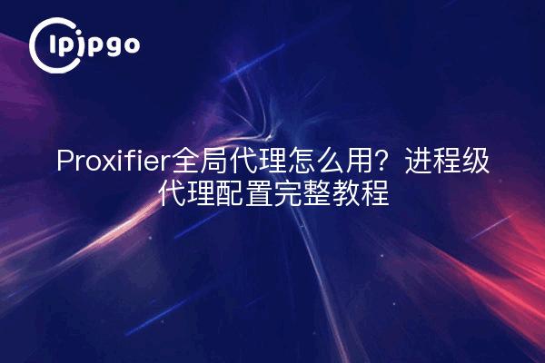 Proxifier全局代理怎么用？进程级代理配置完整教程