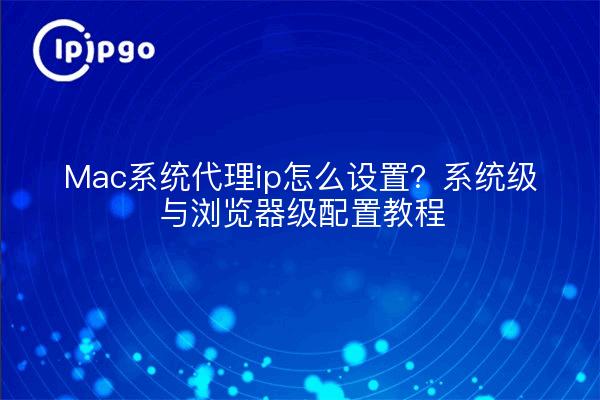 Mac系统代理ip怎么设置？系统级与浏览器级配置教程