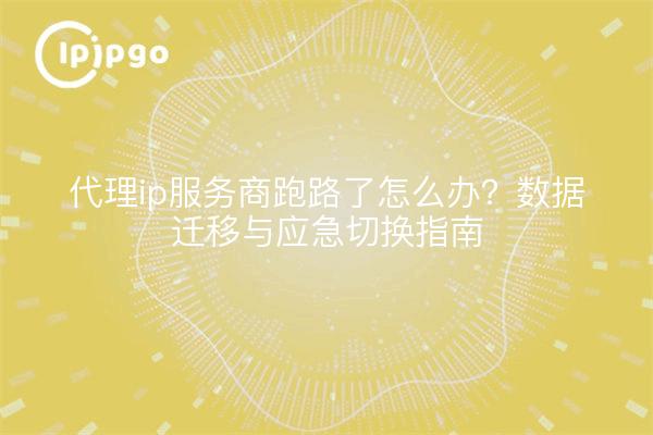 代理ip服务商跑路了怎么办?数据迁移与应急切换指南