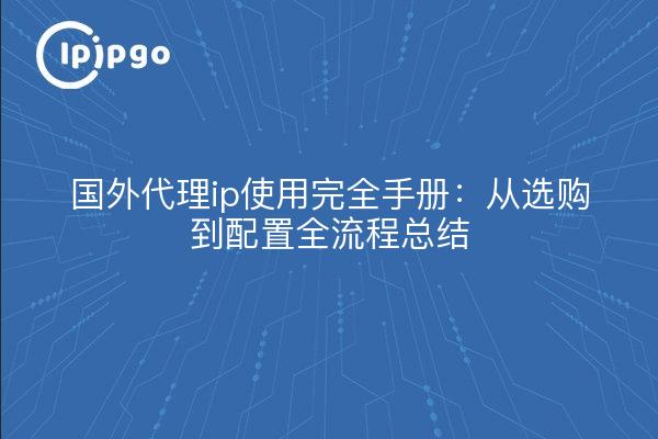 国外代理ip使用完全手册：从选购到配置全流程总结