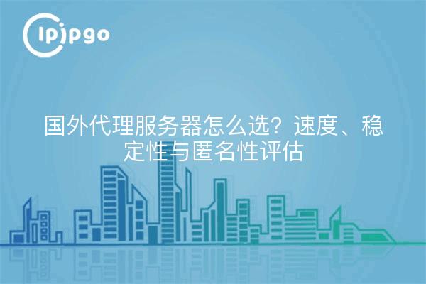 国外代理服务器怎么选？速度、稳定性与匿名性评估