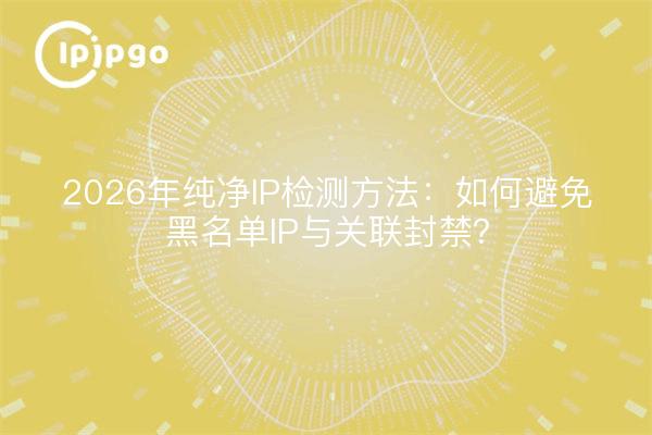2026年纯净IP检测方法:如何避免黑名单IP与关联封禁?