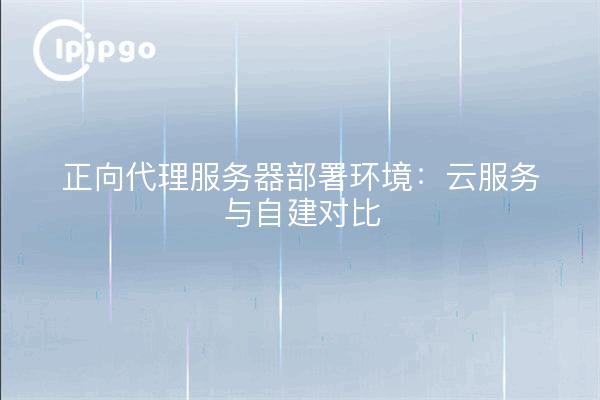正向代理服务器部署环境：云服务与自建对比
