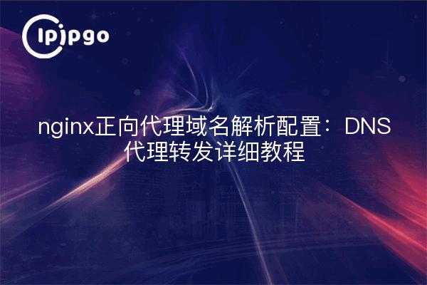 nginx正向代理域名解析配置:DNS代理转发详细教程
