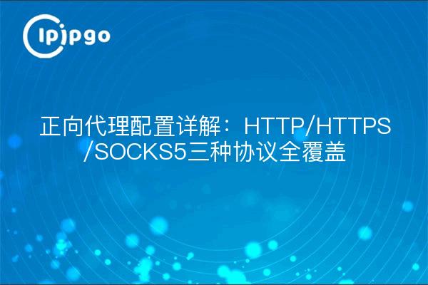 正向代理配置详解:HTTP/HTTPS/SOCKS5三种协议全覆盖