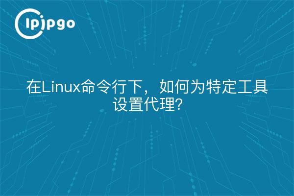 在Linux命令行下，如何为特定工具设置代理？