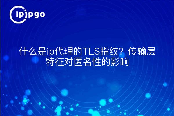 什么是ip代理的TLS指纹?传输层特征对匿名性的影响