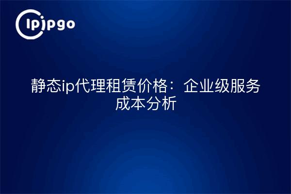 静态ip代理租赁价格：企业级服务成本分析