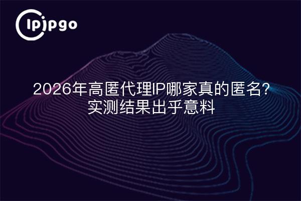 2026年高匿代理IP哪家真的匿名?实测结果出乎意料