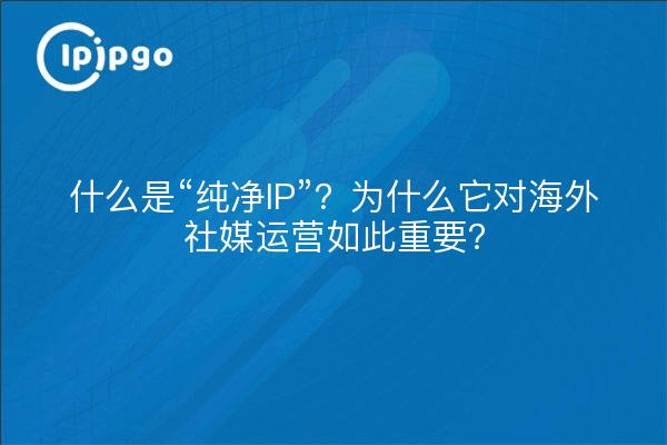 什么是“纯净IP”？为什么它对海外社媒运营如此重要？