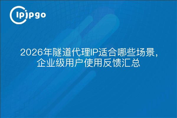 2026年隧道代理IP适合哪些场景，企业级用户使用反馈汇总