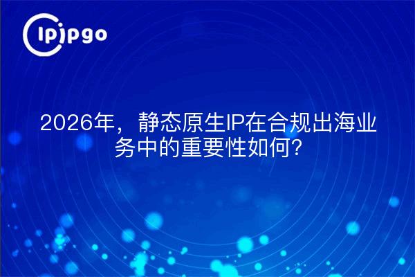2026年，静态原生IP在合规出海业务中的重要性如何？