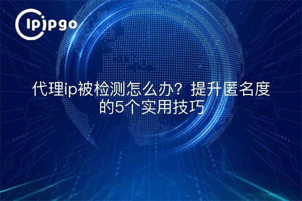 代理ip被检测怎么办?提升匿名度的5个实用技巧