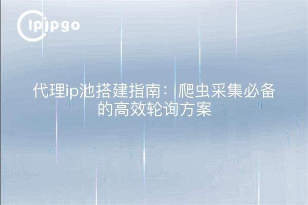 代理ip池搭建指南：爬虫采集必备的高效轮询方案