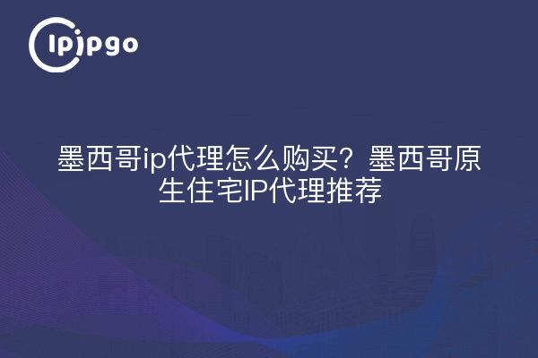 墨西哥ip代理怎么购买?墨西哥原生住宅IP代理推荐