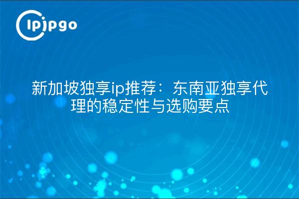 新加坡独享ip推荐:东南亚独享代理的稳定性与选购要点