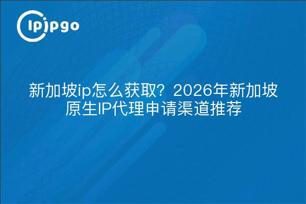 新加坡ip怎么获取？2026年新加坡原生IP代理申请渠道推荐