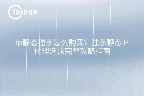 ip静态独享怎么购买?独享静态IP代理选购完整攻略指南